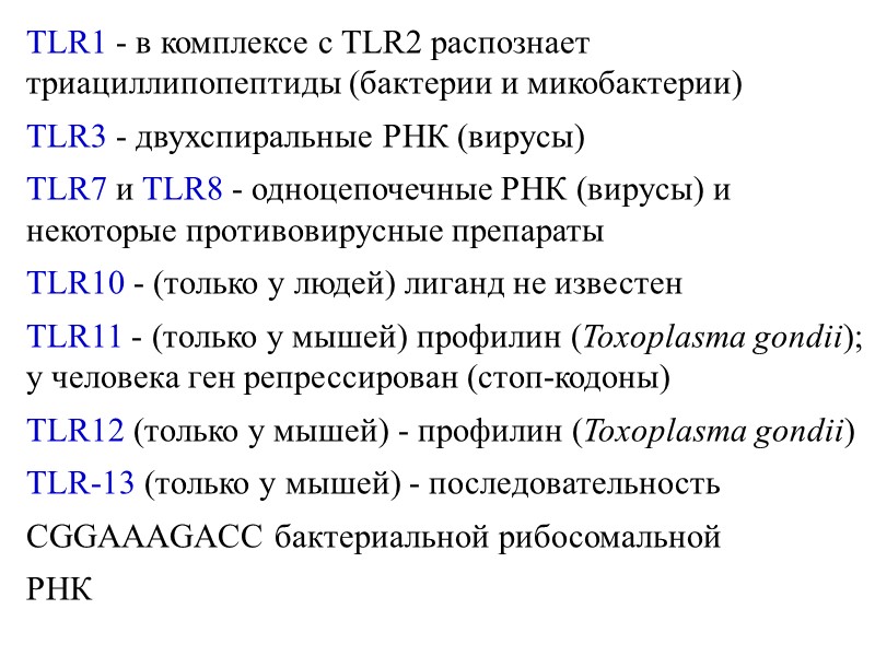 TLR1 - в комплексе с TLR2 распознает  триациллипопептиды (бактерии и микобактерии) TLR3 -